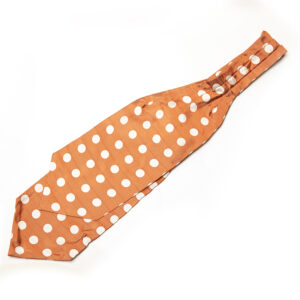 A tie with white polka dots on it.