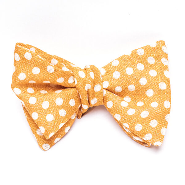A bow tie with white polka dots on it.
