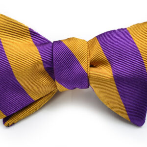 A purple and gold striped bow tie