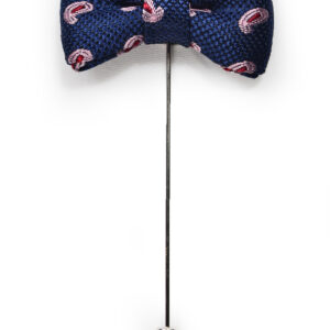A bow tie on a stick with the chicago cubs logo.