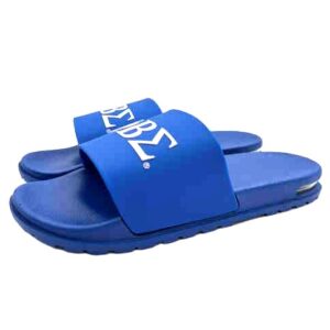 Flip Flops Blue